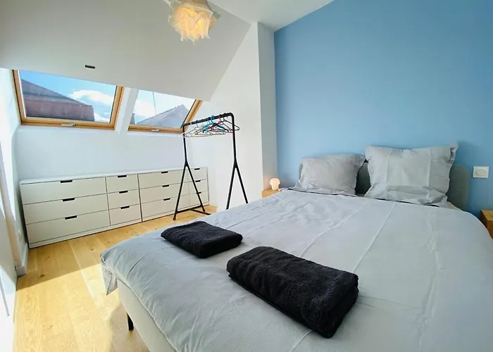 Casa : L'éclat Du Roi René * Angers