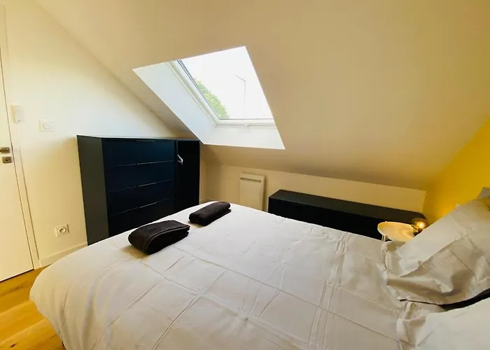 Casa : L'éclat Du Roi René *