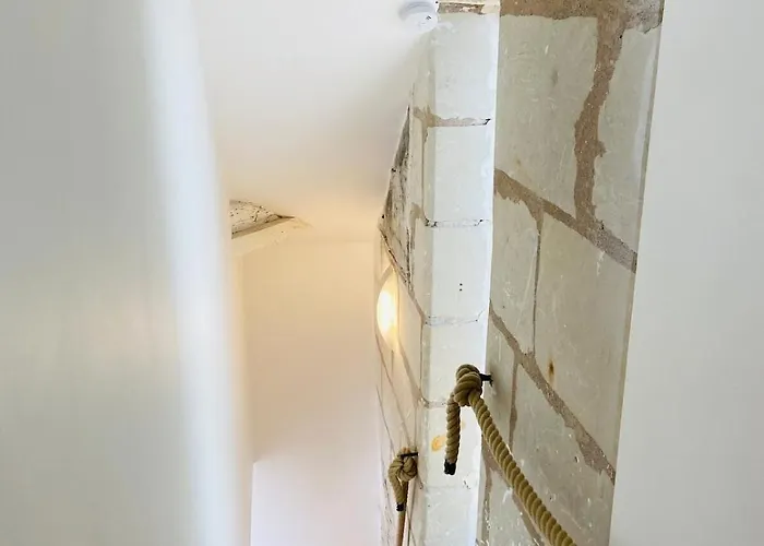 Casa : L'eclat Du Roi Rene